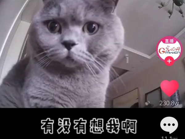 陕西新利全站体育官网登录网址监控摄像头