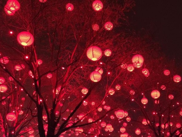 陕西新利全站体育官网登录网址祝您和家人：元宵节快乐，月圆人圆家更圆